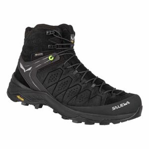 Pánská kotníková turistická obuv SALEWA-Alp Trainer 2 Mid GTX M black/black obraz
