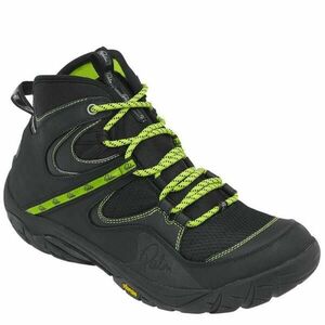 Palm Gradient - UK5 obraz