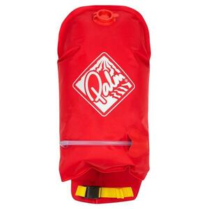 Palm Paddlefloat obraz