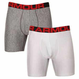Pánské boxerky UNDER ARMOUR-UA Tech 6in 2 Pack-GRY obraz