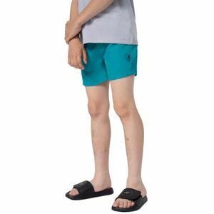 Chlapecké plavky 4F JUNIOR-BOARD SHORTS M018-47S-MINT obraz