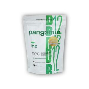 Pangamin B12 sáček 200 tablet obraz