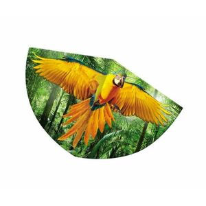 Günther Létající drak PAPAGEI 75 x 48 cm obraz