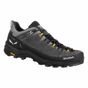 Pánská nízká turistická obuv SALEWA-Alp Trainer 2 GTX Shoe M onyx/black obraz