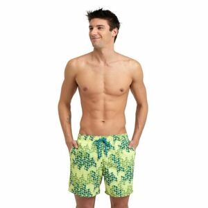 Pánské plavky ARENA-MENS BEACH BOXER ALLOVER-610-soft green multi obraz