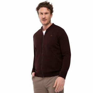 Pánská mikina se zipem VOLCANO-B-COLLEGE-403-BURGUNDY obraz
