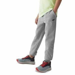 Chlapecké tepláky 4F JUNIOR-TROUSERS-JAW23TTROM411-27M-COLD LIGHT GREY MELANGE obraz