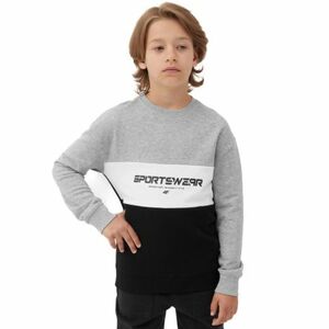Chlapecká mikina 4F JUNIOR-SWEATSHIRT-JAW23TSWSM630-27M-COLD LIGHT GREY MELANGE obraz