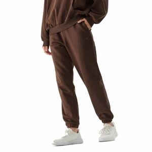 Dámské tepláky 4F-TROUSERS-AW23TTROF455-81S-BROWN obraz
