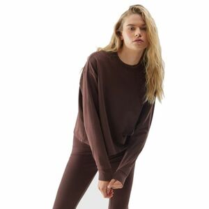 Dámská mikina 4F-SWEATSHIRT-AW23TSWSF699-81S-BROWN obraz