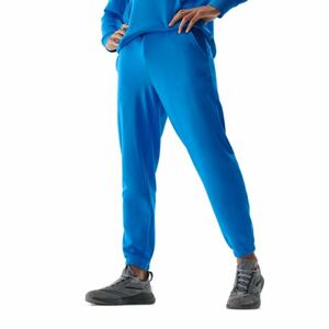 Pánské tepláky 4F-TROUSERS-AW23TTROM453-33S-BLUE obraz