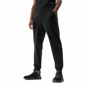 Pánské tepláky 4F-TROUSERS-AW23TTROM453-20S-DEEP BLACK obraz