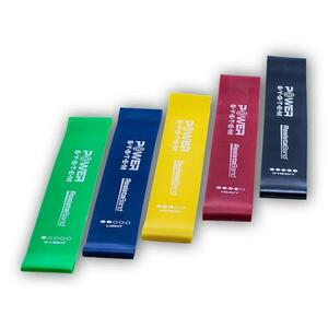 Power System RESISTA BAND SET obraz