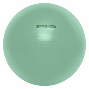 Gymnastický míč SPOKEY-FITBALL 65 cm obraz