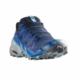 Pánská běžecká trailová obuv SALOMON-Speedcross 6 GTX blue print/ibiza blue/quarry obraz