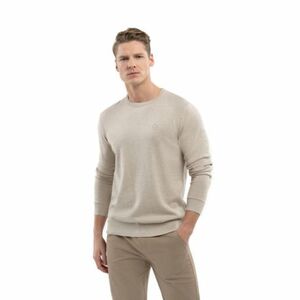 Pánský svetr VOLCANO-S-RADO-102-CREAM obraz