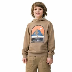 Chlapecká turistická mikina s kapucí 4F JUNIOR-SWEATSHIRT-4FJWSS24TSWSM0933-81S-BROWN obraz