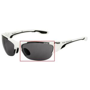 R2 Náhradní čočky k modelu Cheetah AT054 kouřové obraz