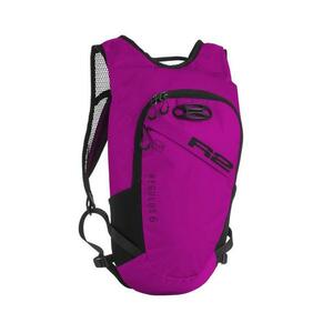 R2 REGULUS ATBP07C - 6L obraz