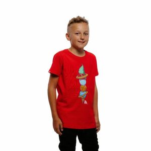 Chlapecké tričko s krátkým rukávem AUTHORITY-T-ICECREAM B red obraz