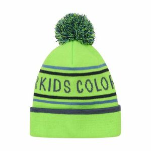 Dětská zimní čepice COLOR KIDS-Hat - Logo CK-741915.2144-Green Gecko obraz
