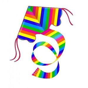 RAINBOW 97x58 cm obraz