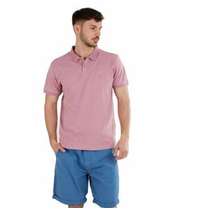 Pánské polo triko s krátkým rukávem FUNDANGO-Incognito Mono Poloshirt-345-raspberry obraz