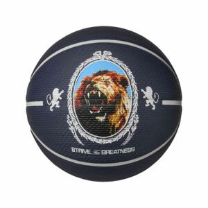 Basketbalový míč NIKE-LEBRON PLGRD 07 PI/PH/BK/PH obraz