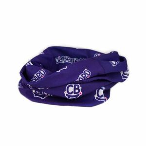 Multifunkční šátek CRAZY BOARD-Multifunctional scarf seamless obraz