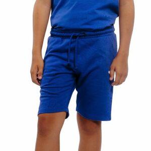 Chlapecké teplákové kraťasy AUTHORITY-TS-PINTO B blue obraz