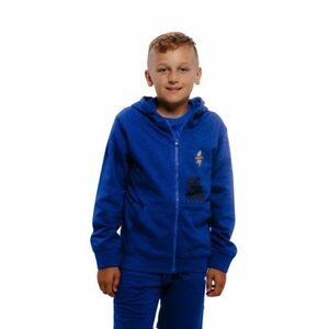 Chlapecká mikina s kapucí AUTHORITY-H-ICECREAM B obraz