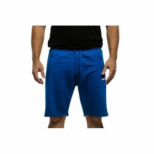 Pánské teplákové kraťasy AUTHORITY-TS-PINTO blue obraz