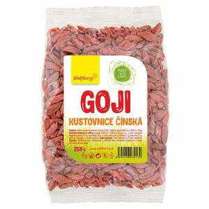 Wolfberry Goji kustovnice čínská obraz