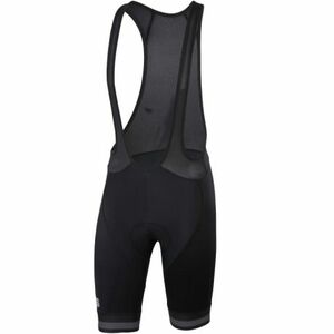 Pánské cyklistické kalhoty SPORTFUL-Bodyfit team classic bibshort, black obraz
