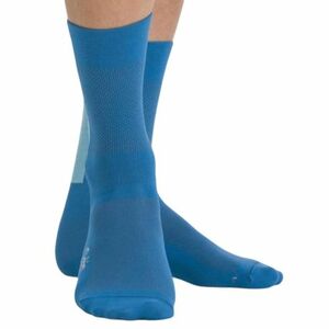 Pánské cyklistické ponožky SPORTFUL-Snap socks, berry blue obraz