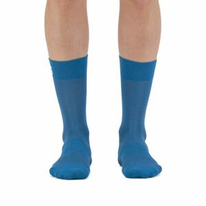 Pánské cyklistické ponožky SPORTFUL-Matchy socks, berry blue obraz