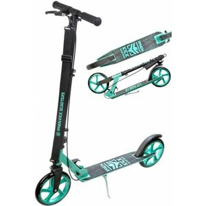 Raven Straight mint 200 mm obraz