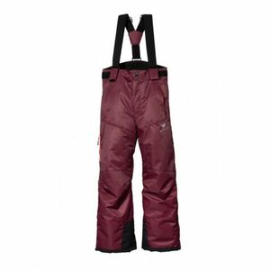 Lyžařské zateplené kalhoty WITEBLAZE-CODY obraz