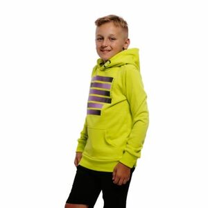 Chlapecká mikina s kapucí AUTHORITY-H-EQUAL B obraz