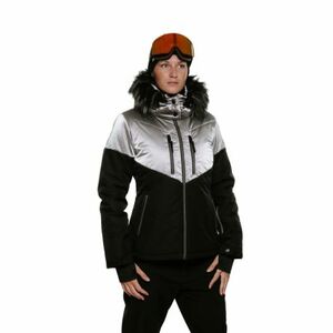 Dámská lyžařská bunda AUTHORITY-SJ-GLAM W silver obraz