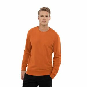 Pánská mikina VOLCANO-B-ANDY-201-ORANGE obraz