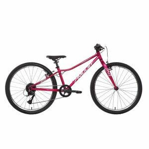 Dívčí horské kolo AMULET-24 Tomcat SH, raspberry/silver obraz