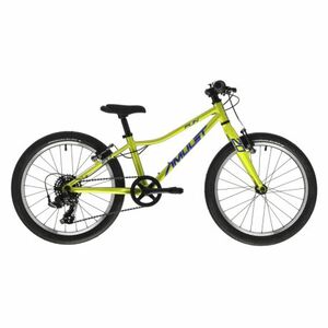 Dětské horské kolo AMULET-20 Fun SH, light green/blue obraz