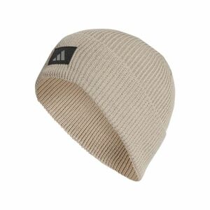 Zimní čepice ADIDAS-RUN BEANIE C.R WONBEI/REFSIL obraz
