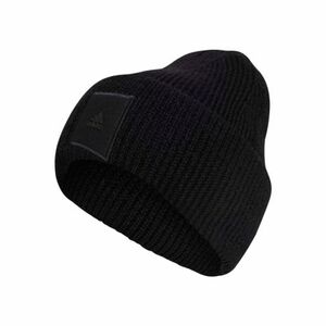 Zimní čepice ADIDAS-WID CUFF BEANIE BLACK obraz
