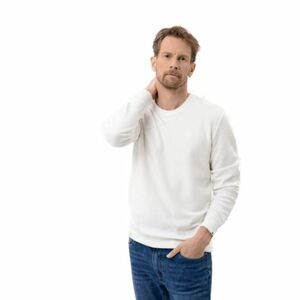 Pánská mikina VOLCANO-TERRY-101-CREAM obraz