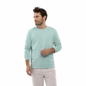 Pánská mikina VOLCANO-ANDY-303-MINT obraz