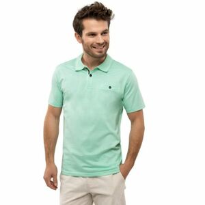 Pánské polo triko s krátkým rukávem VOLCANO-MARON-303-MINT obraz