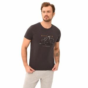 Pánské triko s krátkým rukávem VOLCANO-RIDEON-701-GRAPHITE obraz