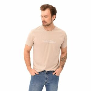 Pánské triko s krátkým rukávem VOLCANO-OFTEN-102-BEIGE obraz